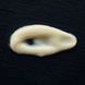 ReSens A-Redensity Matt Cream - Матувальний крем A-Redensity
