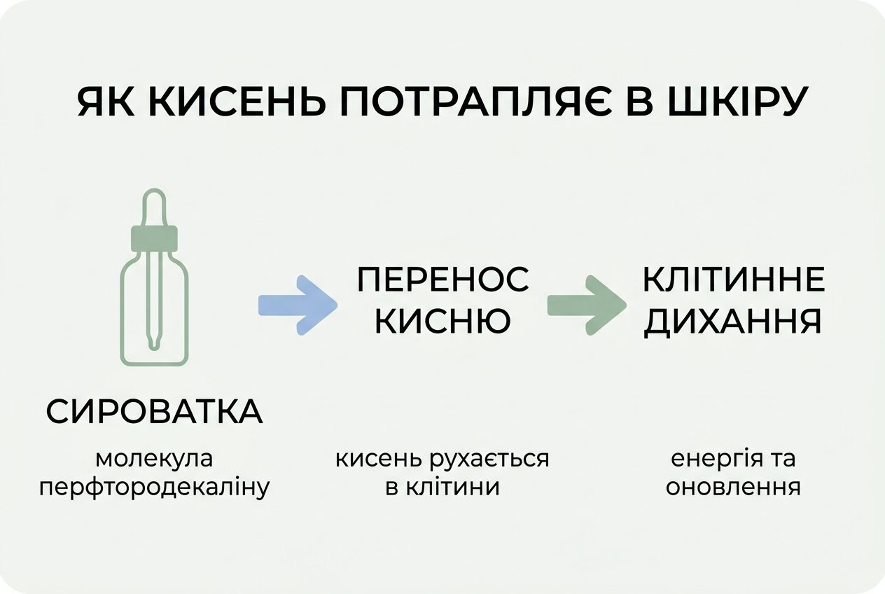 Схема: как кислород попадает в кожу через сыворотку с перфтордекалином к клеточному дыханию