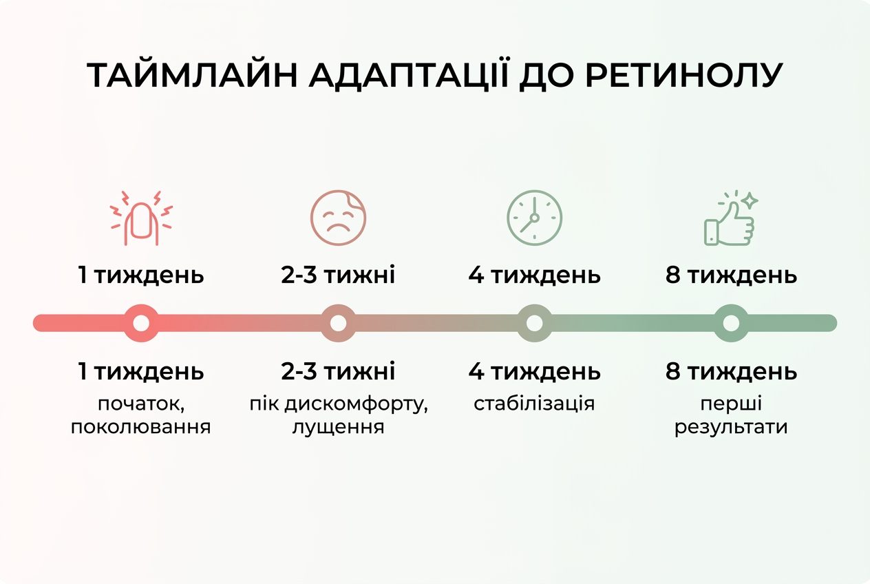 Таймлайн адаптации кожи к ретинолу от первой недели до восьмой